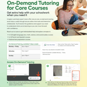 On Demand Tutoring Student Flyer