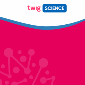 Twig Science Presentation Folder