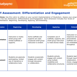 2NS-SS Differentiation and Engagement Self-Assessment