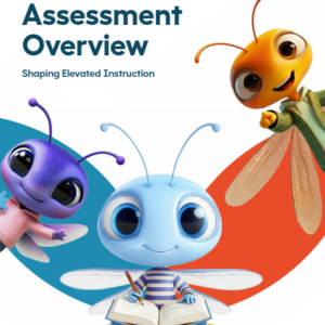Dragonfly Assessment Brochure